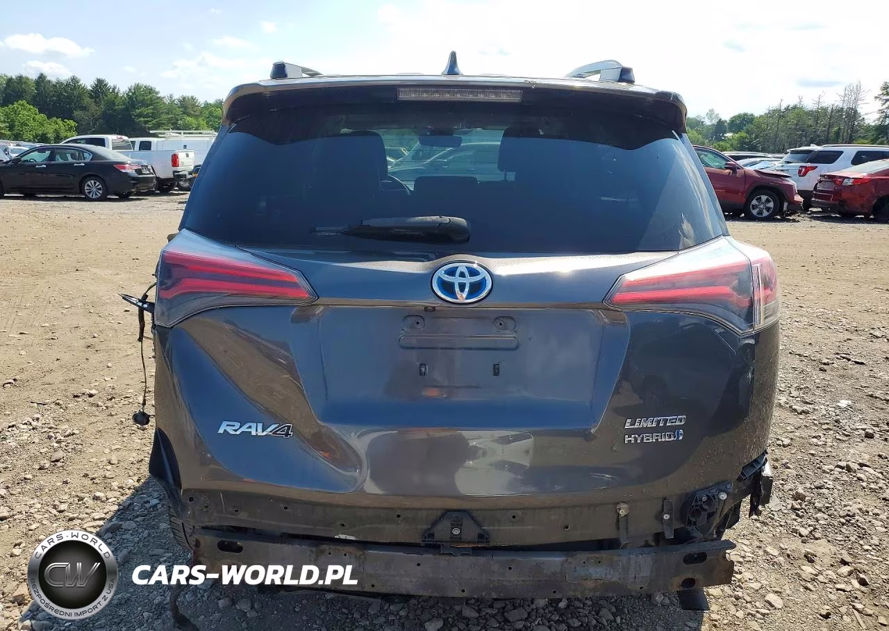2016 Toyota Rav4 Hv Limited VIN:JTMDJREV4GD001131 - 6