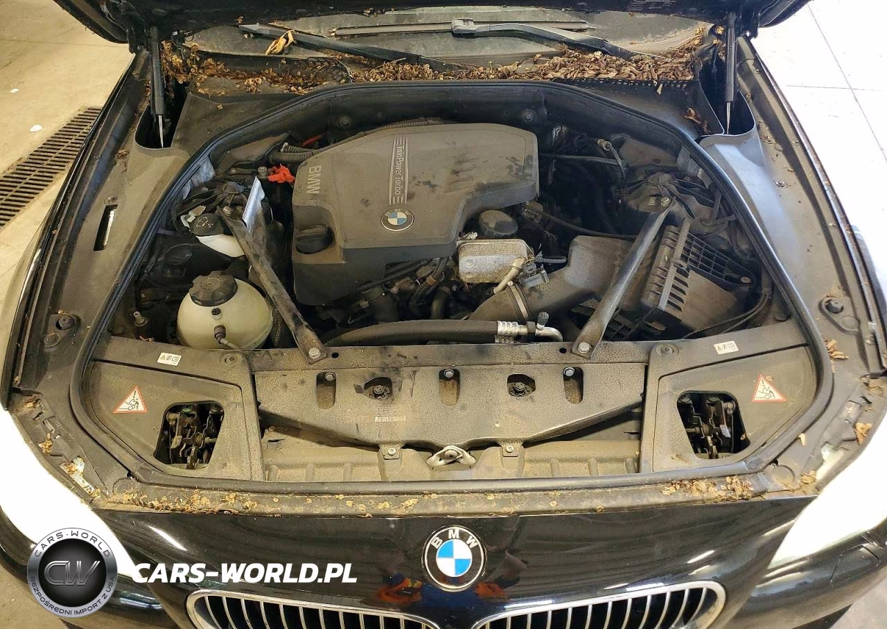 2013 BMW 528 Xi VIN:WBAXH5C54DD112050 - 11