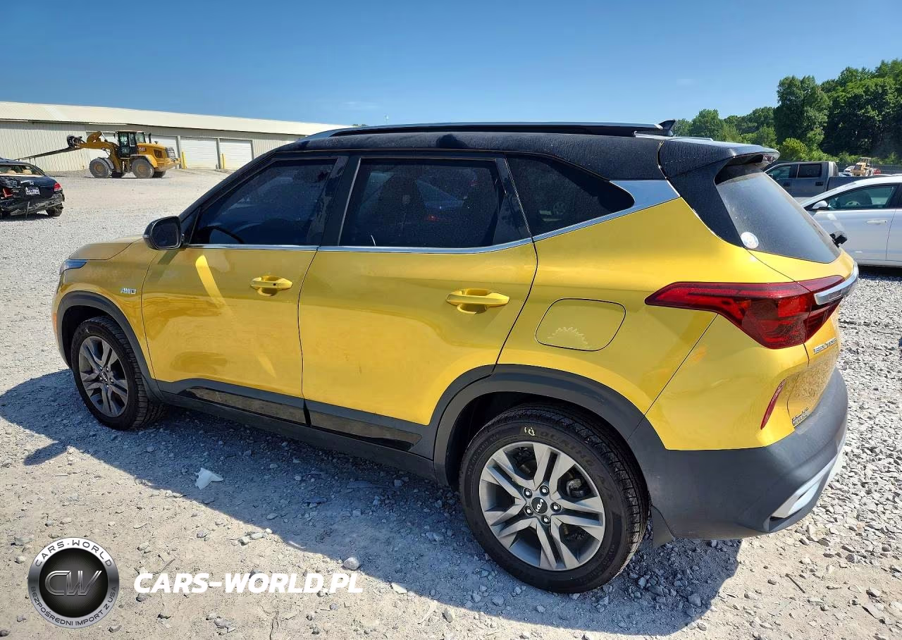 2022 Kia Seltos S VIN:KNDEUCAA7N7316013 - 2