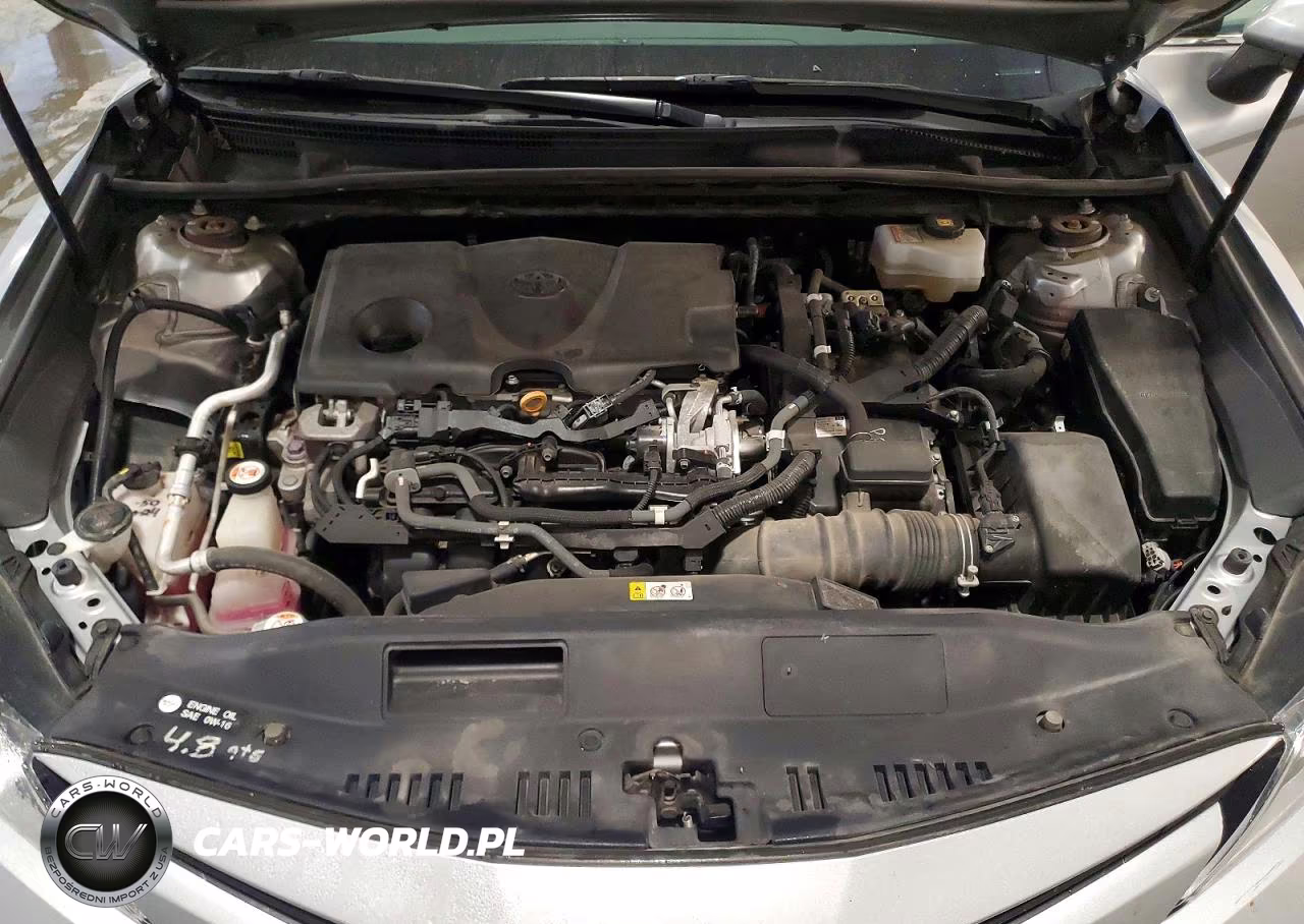 2019 Toyota Camry Le VIN:4T1B31HK6KU517273 - 11
