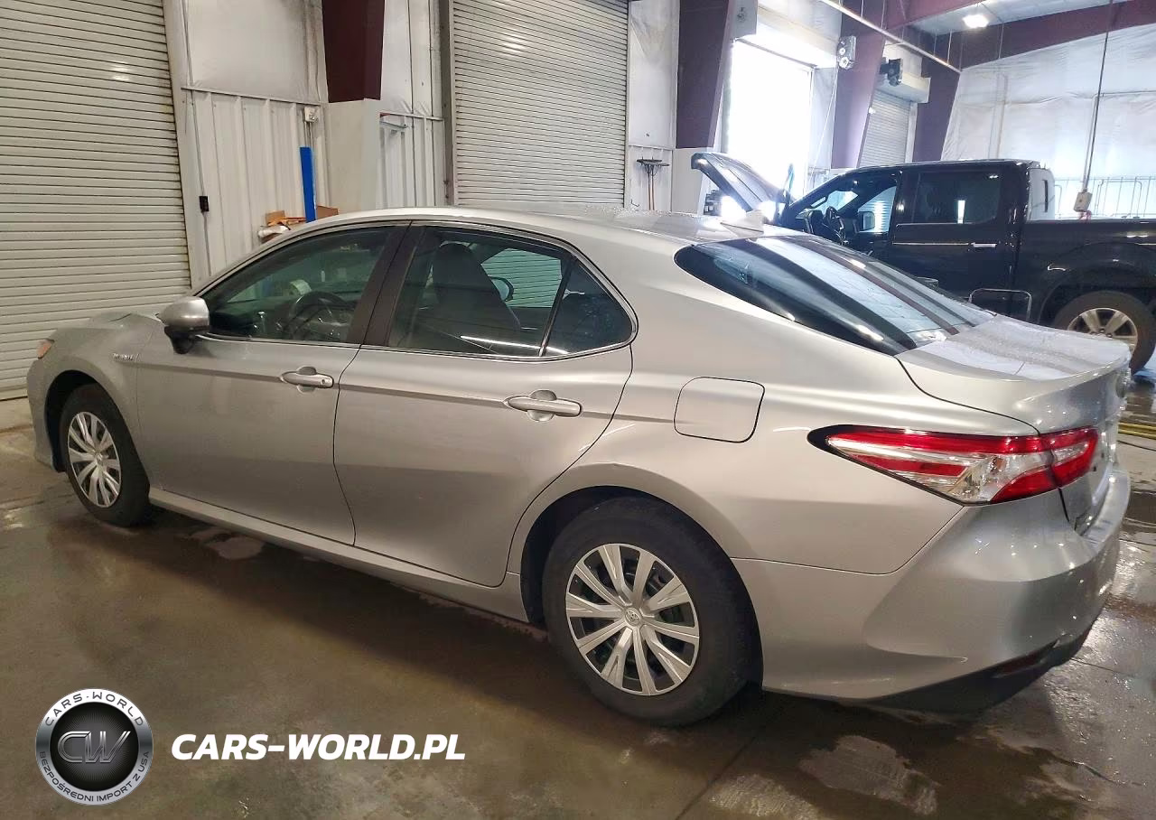 2019 Toyota Camry Le VIN:4T1B31HK6KU517273 - 2