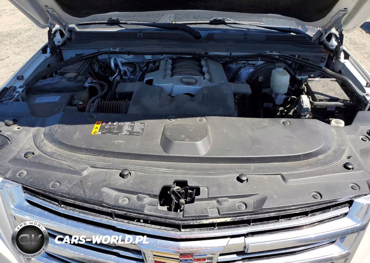 2018 Cadillac Escalade Platinum VIN:1GYS4DKJ6JR233785 - 12