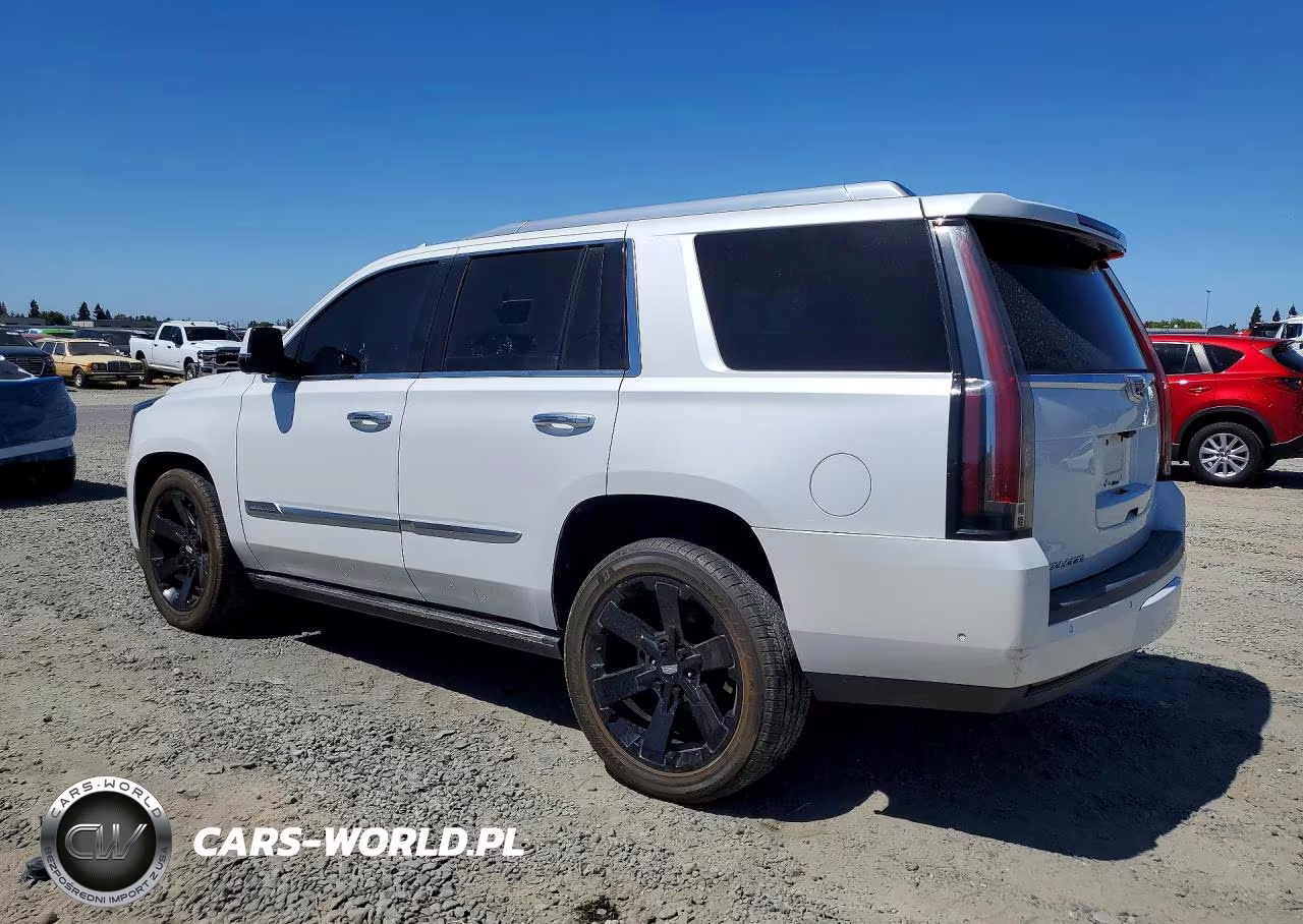 2018 Cadillac Escalade Platinum VIN:1GYS4DKJ6JR233785 - 2
