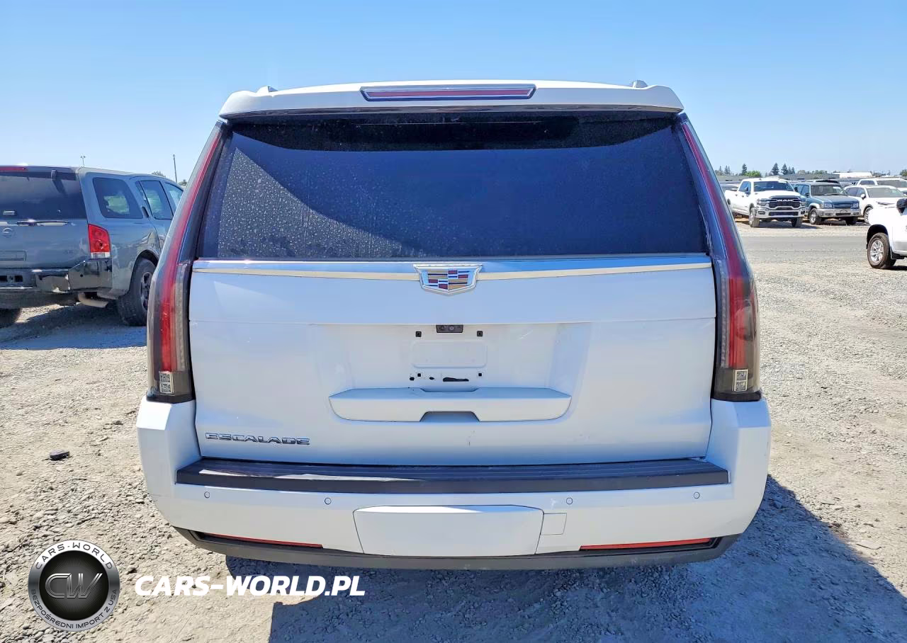 2018 Cadillac Escalade Platinum VIN:1GYS4DKJ6JR233785 - 6