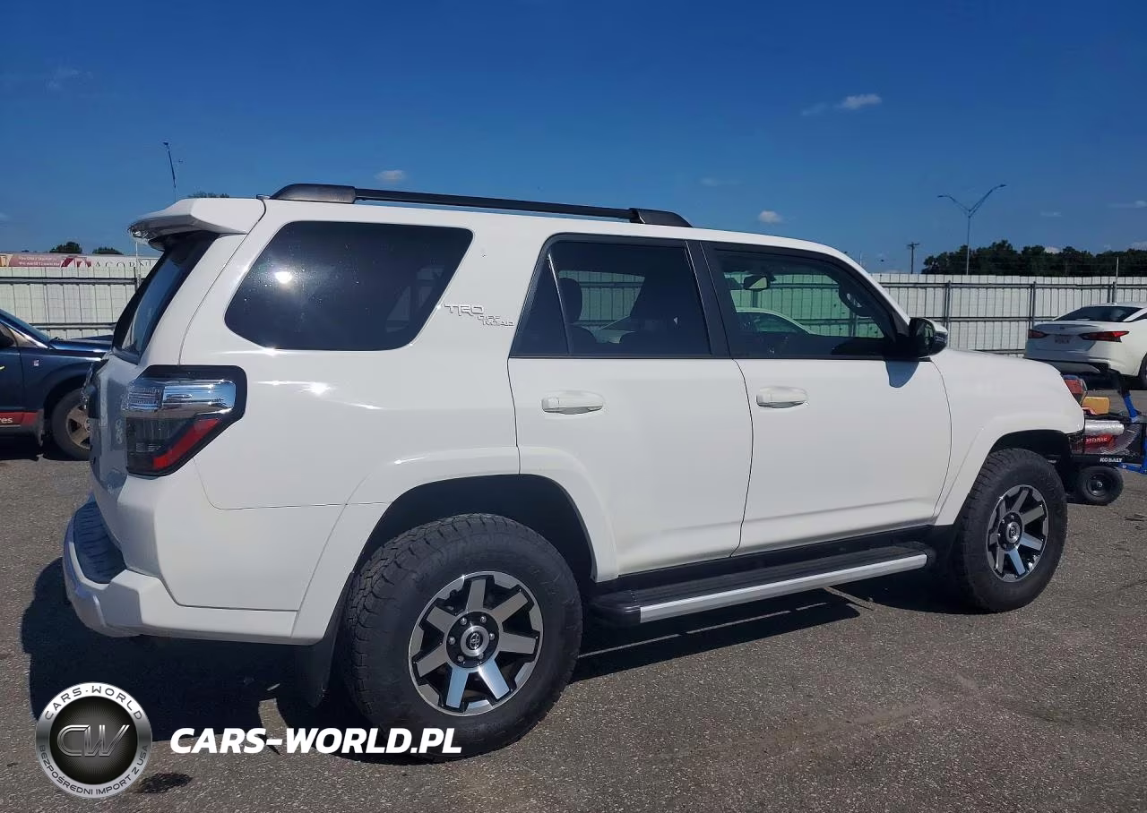 2019 Toyota 4Runner Trd Off-Road Premium VIN:JTEBU5JR7K5619381 - 3