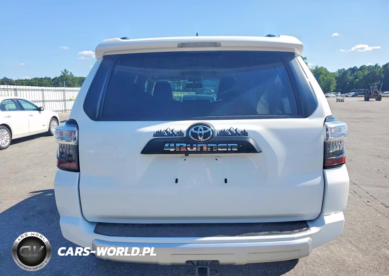 2019 Toyota 4Runner Trd Off-Road Premium VIN:JTEBU5JR7K5619381 - 6