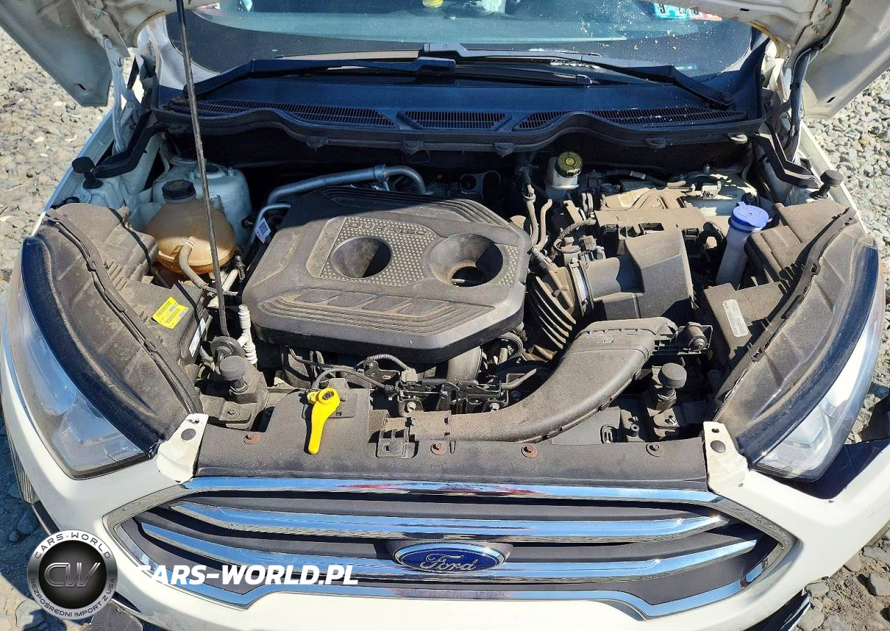 2019 Ford Ecosport Titanium VIN:MAJ6S3KL9KC281977 - 11