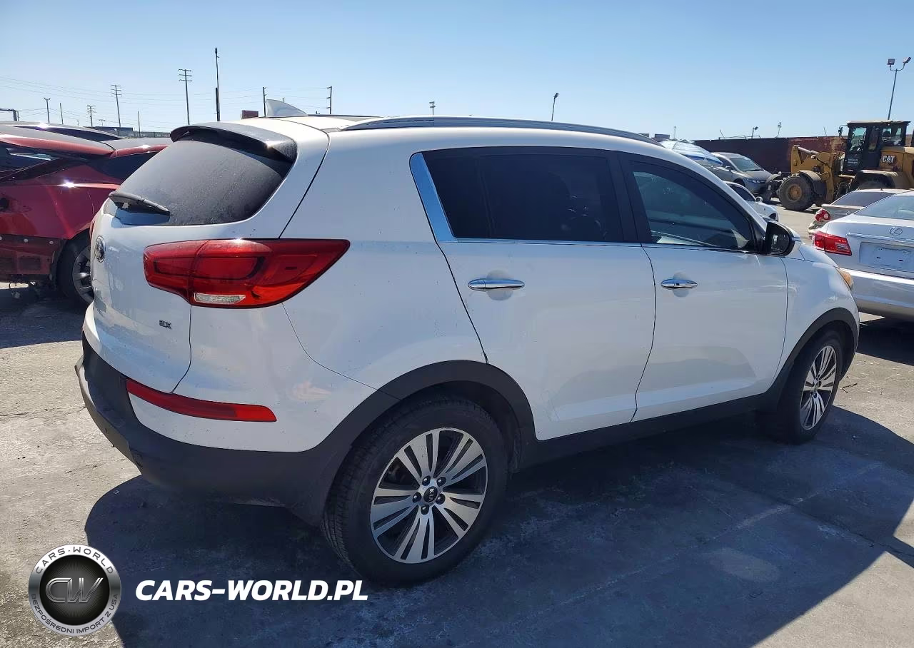 2015 Kia Sportage Ex VIN:KNDPC3AC0F7791887 - 3