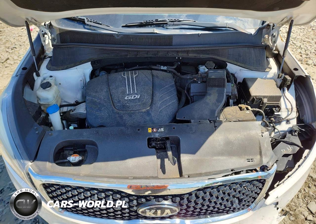 2016 Kia Sorento Ex VIN:5XYPHDA54GG101264 - 12
