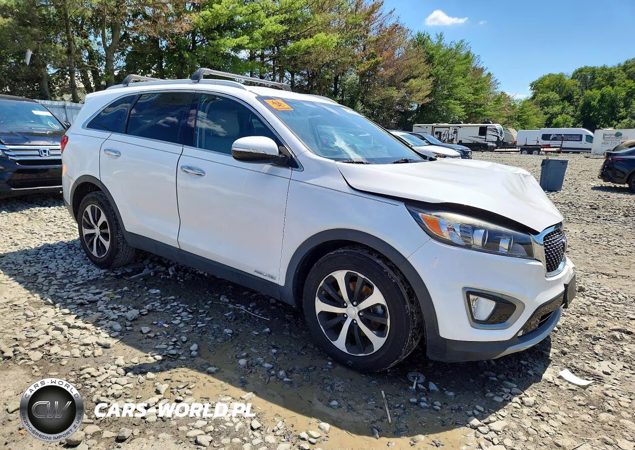 2016 Kia Sorento Ex VIN:5XYPHDA54GG101264 - 4