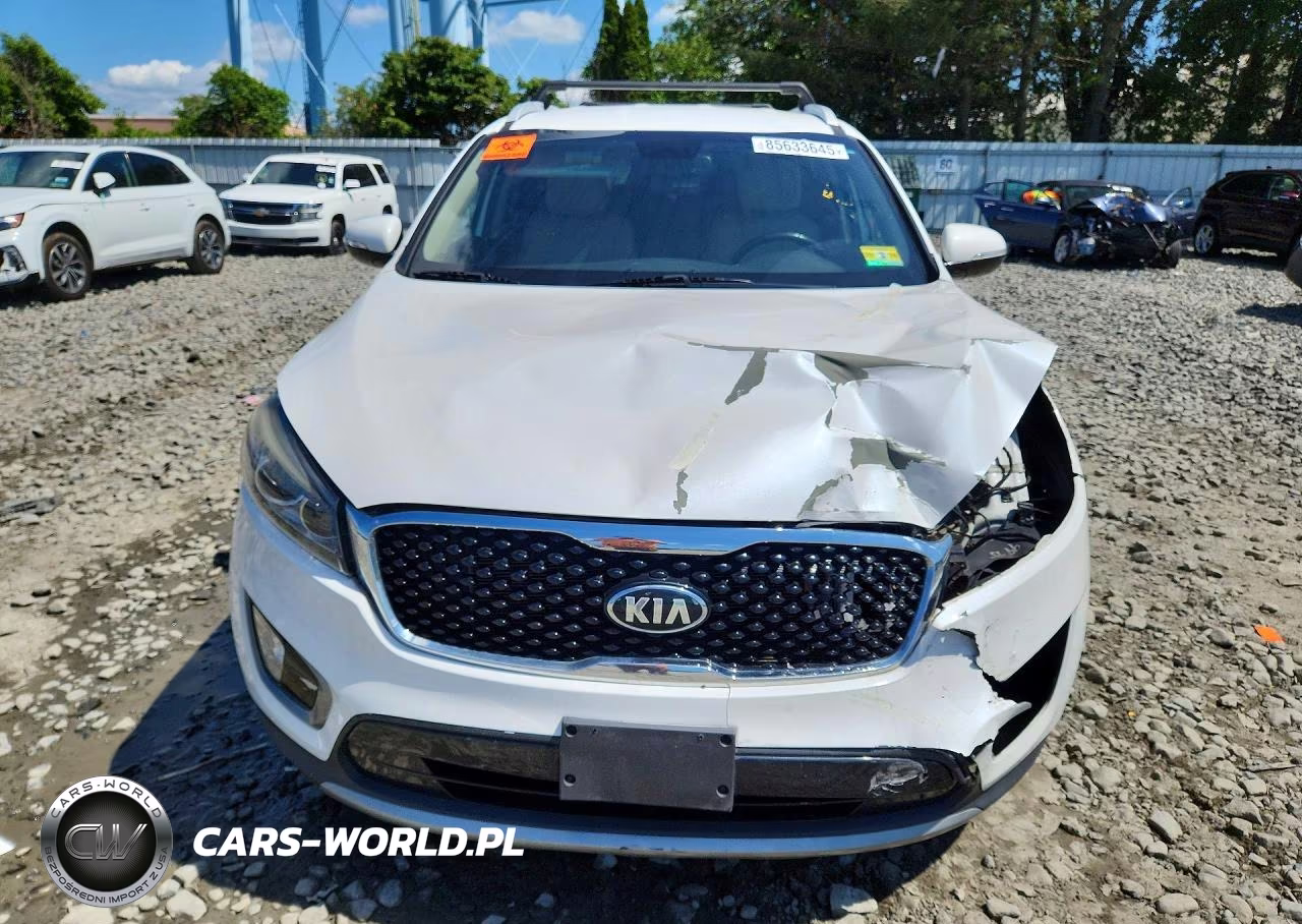2016 Kia Sorento Ex VIN:5XYPHDA54GG101264 - 5