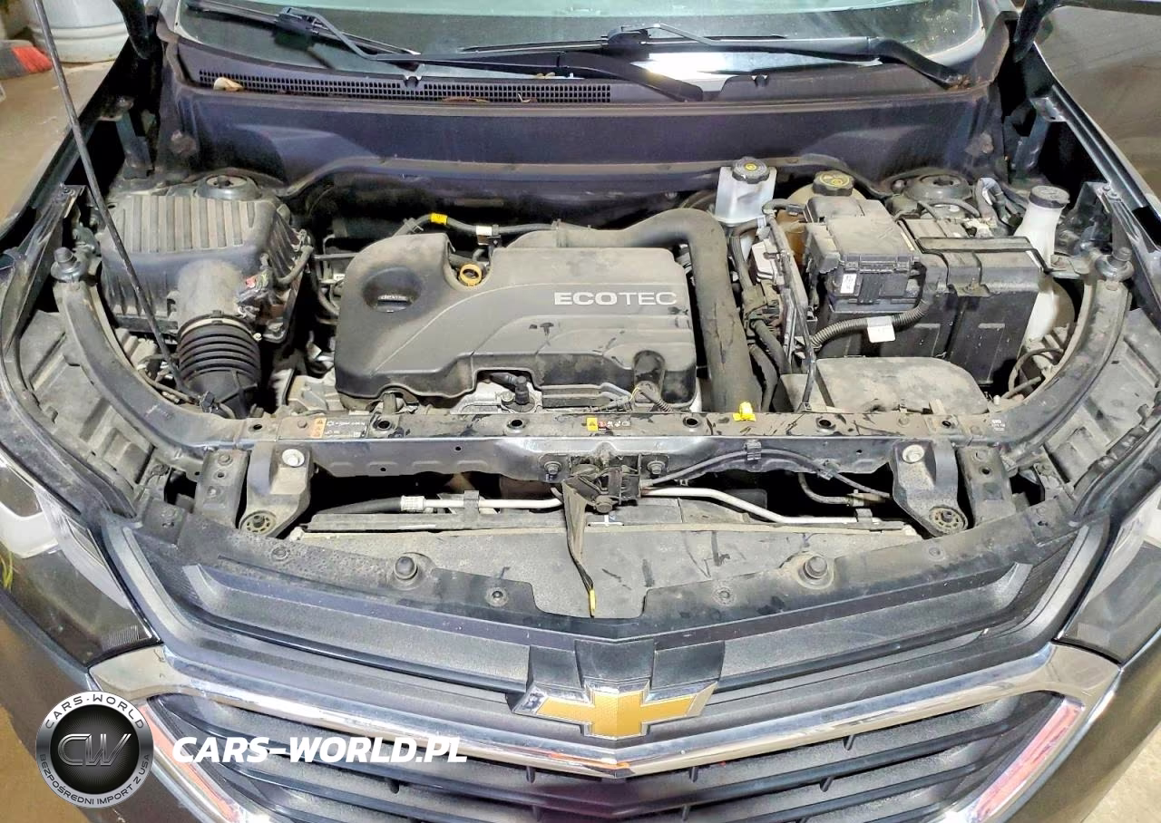 2019 Chevrolet Equinox Lt VIN:3GNAXUEV9KL138001 - 12