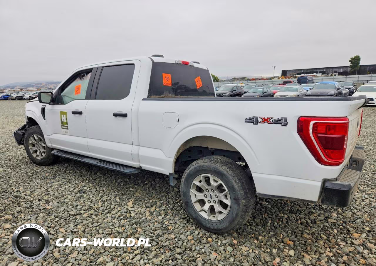 2023 Ford F150 Supercrew VIN:1FTFW1E86PKD97791 - 2