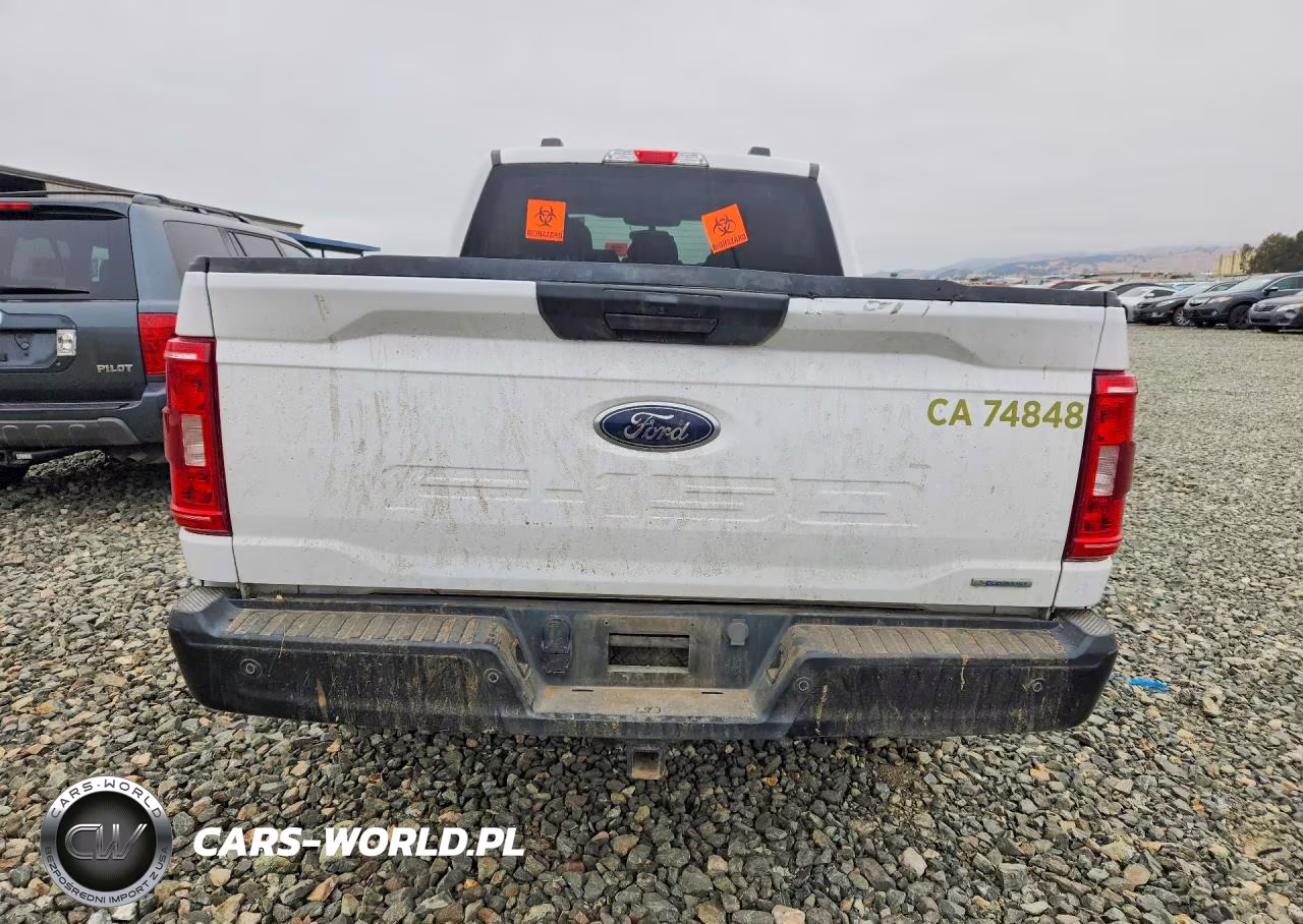 2023 Ford F150 Supercrew VIN:1FTFW1E86PKD97791 - 6