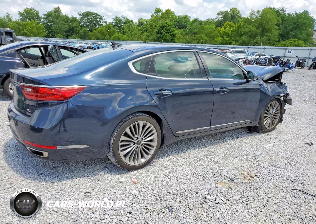2017 Kia Cadenza Limited VIN:KNALC4J19H5073852 - 3