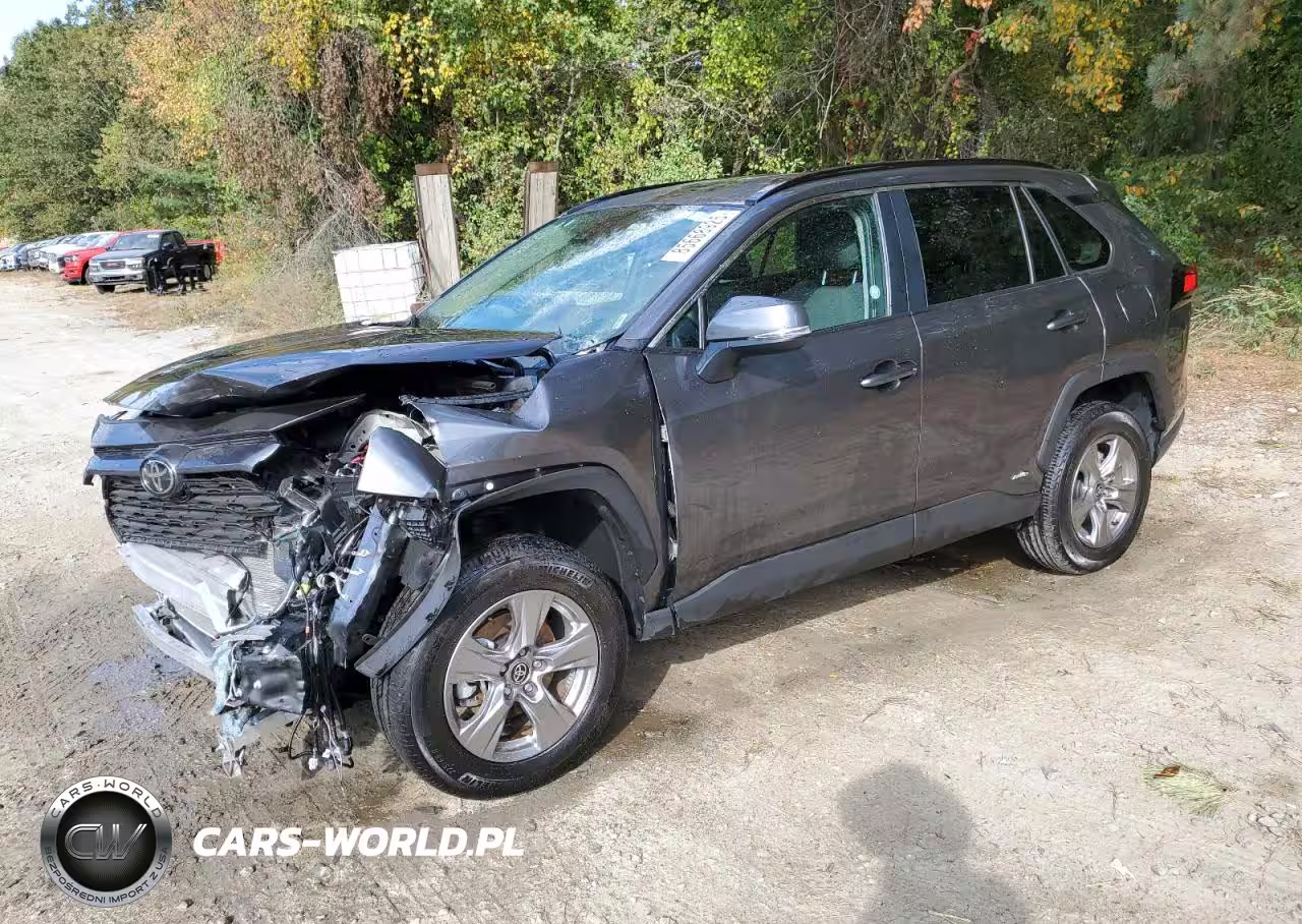 2025 Toyota Rav4 Xle