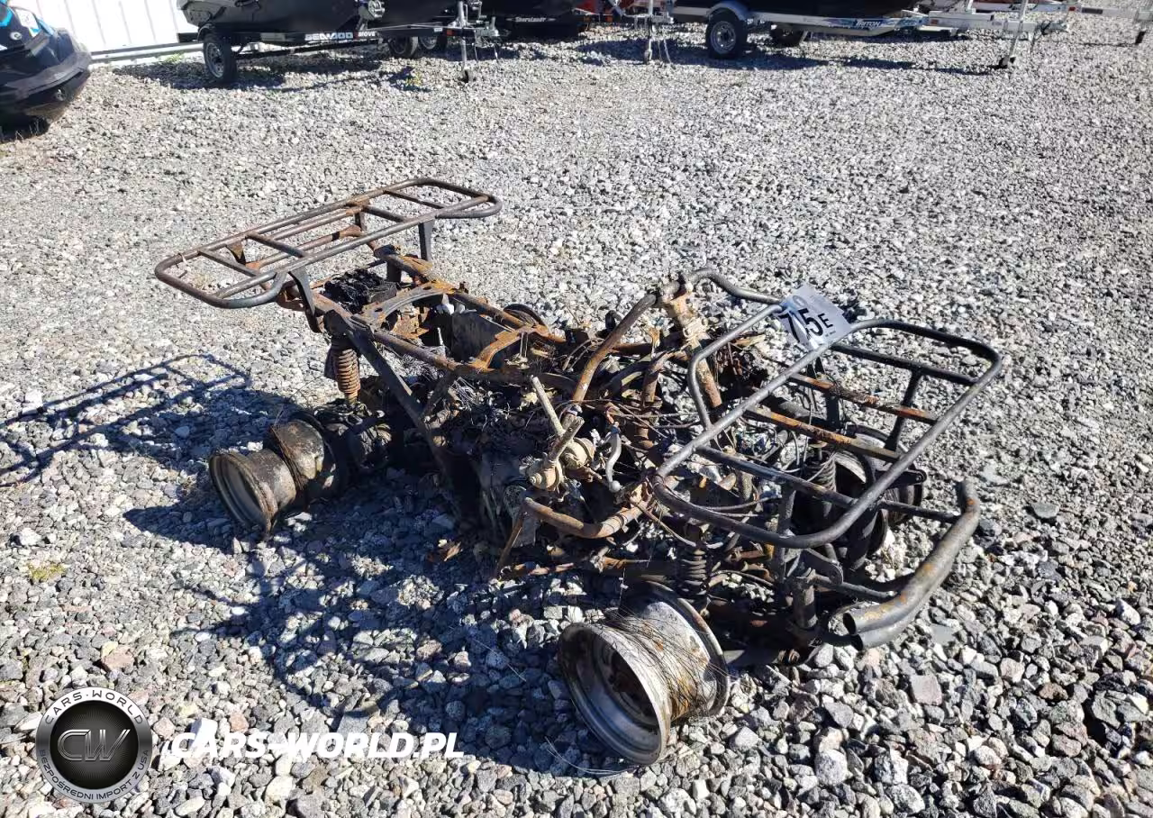 1988 Yamaha 350 Terra Pro - Atv