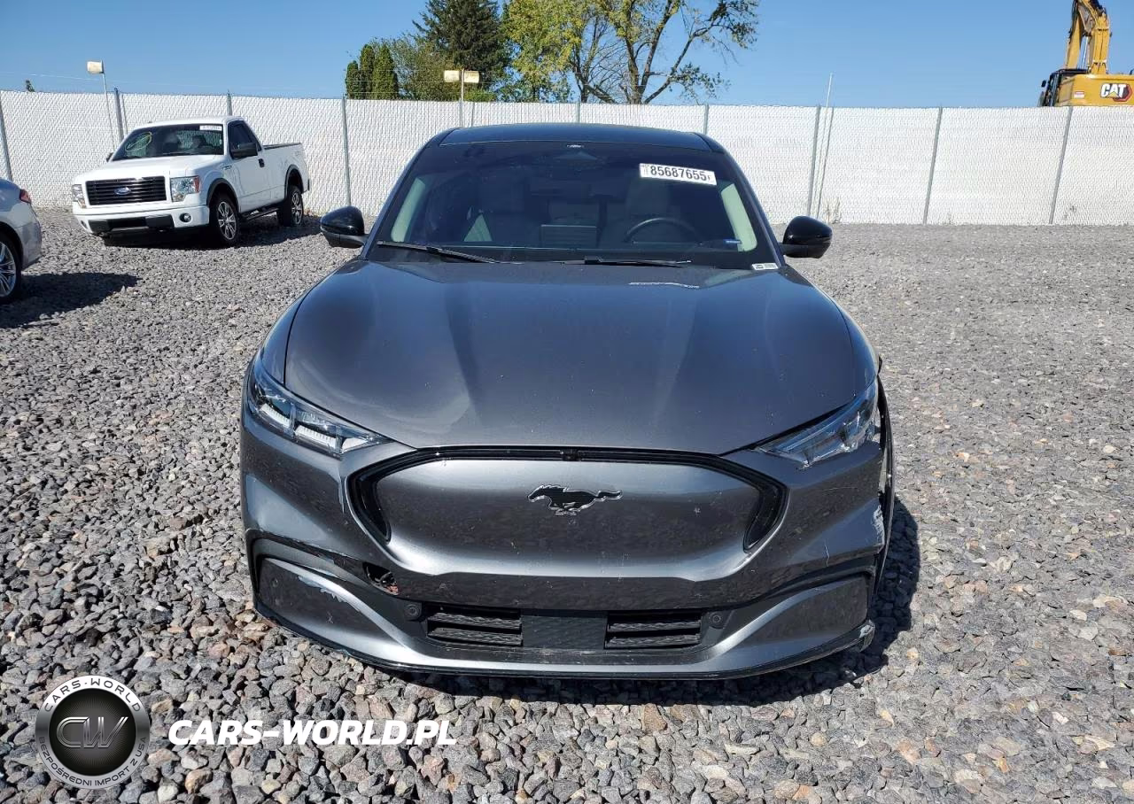 2021 Ford Mustang Mach-E Premium VIN:3FMTK3SU5MMA39030 - 5