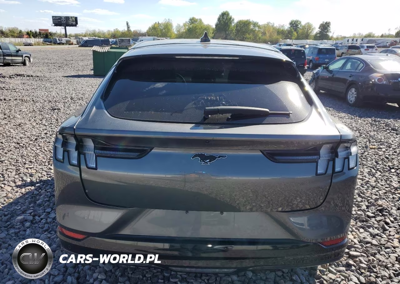2021 Ford Mustang Mach-E Premium VIN:3FMTK3SU5MMA39030 - 6