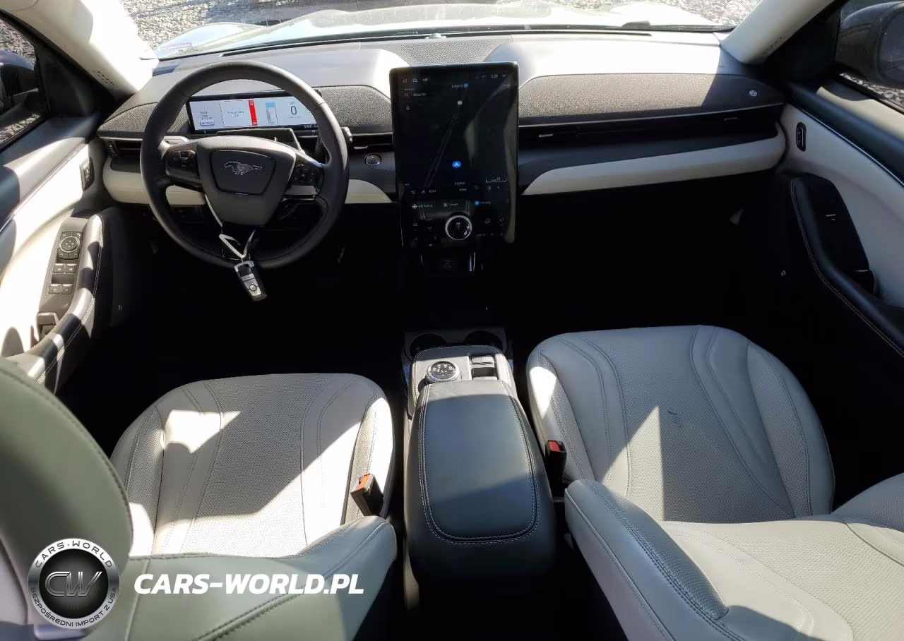 2021 Ford Mustang Mach-E Premium VIN:3FMTK3SU5MMA39030 - 8