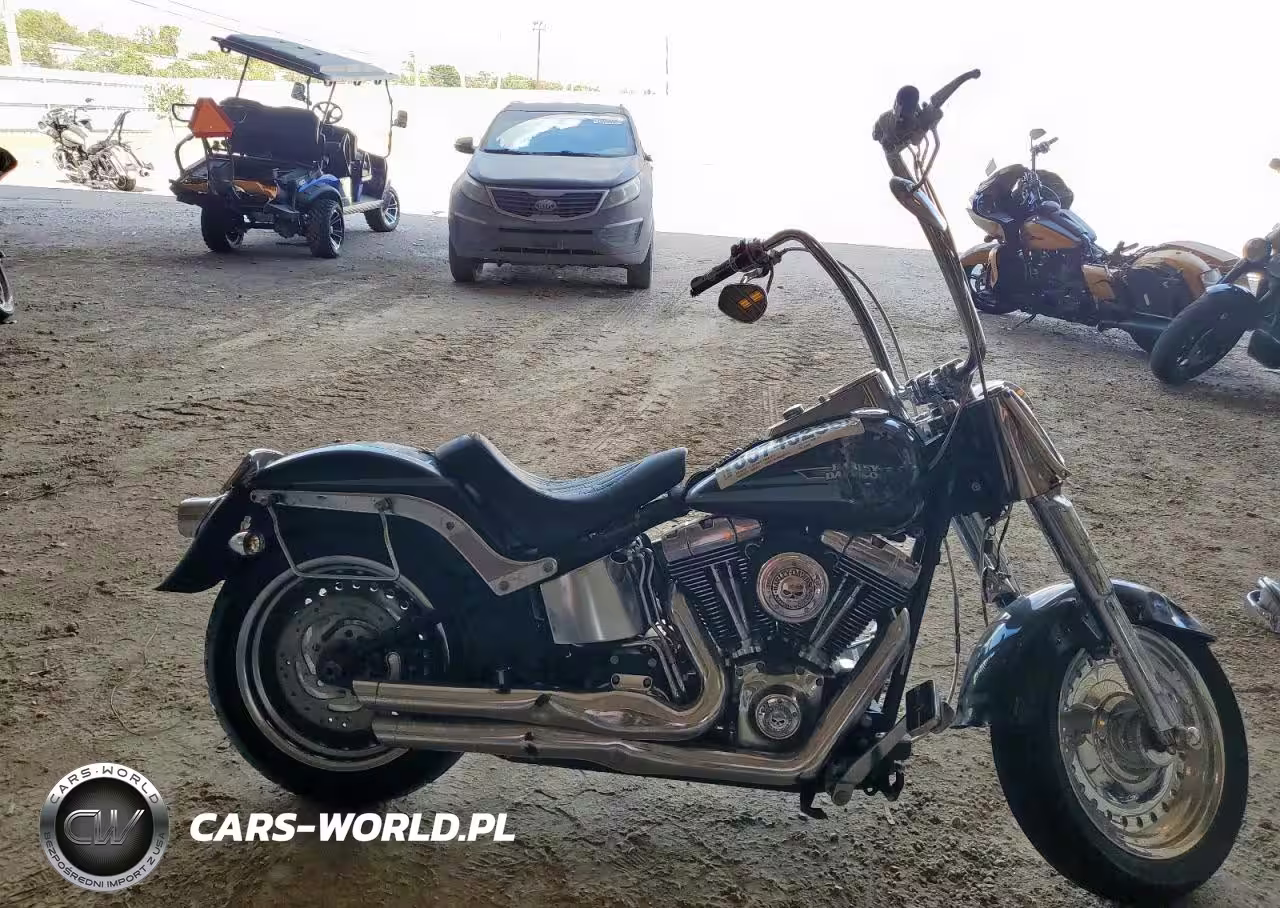 2009 Harley-Davidson Flstf