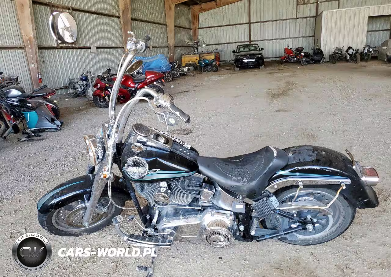 2009 Harley-Davidson Flstf VIN:1HD1BX5179Y033700 - 3