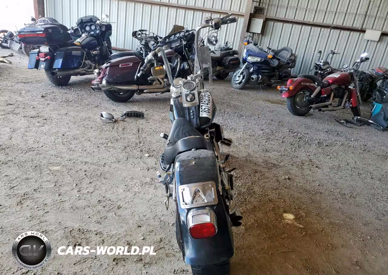 2009 Harley-Davidson Flstf VIN:1HD1BX5179Y033700 - 4
