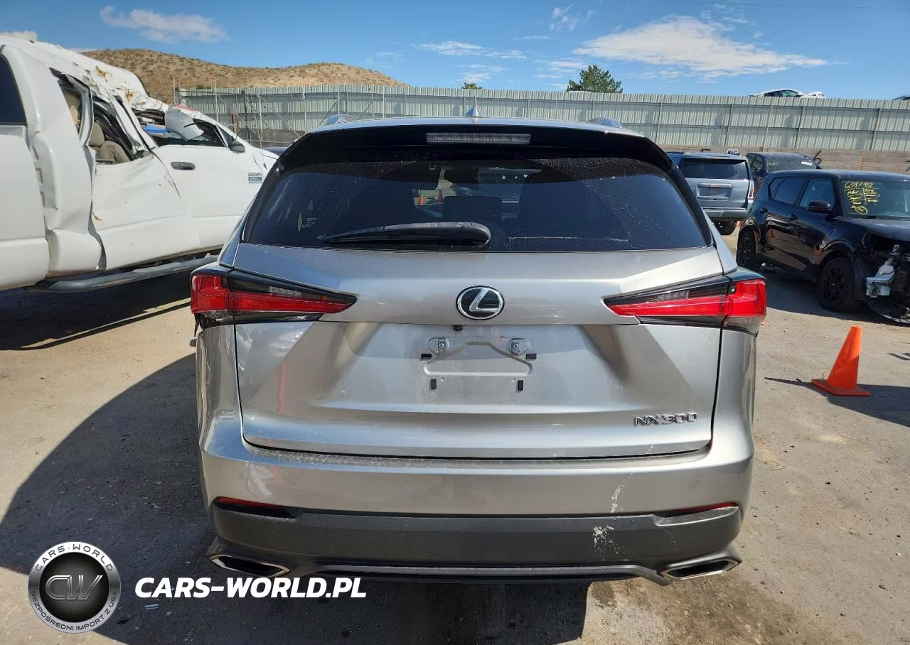2021 Lexus Nx 300 Base VIN:JTJDARBZ0M2201175 - 6