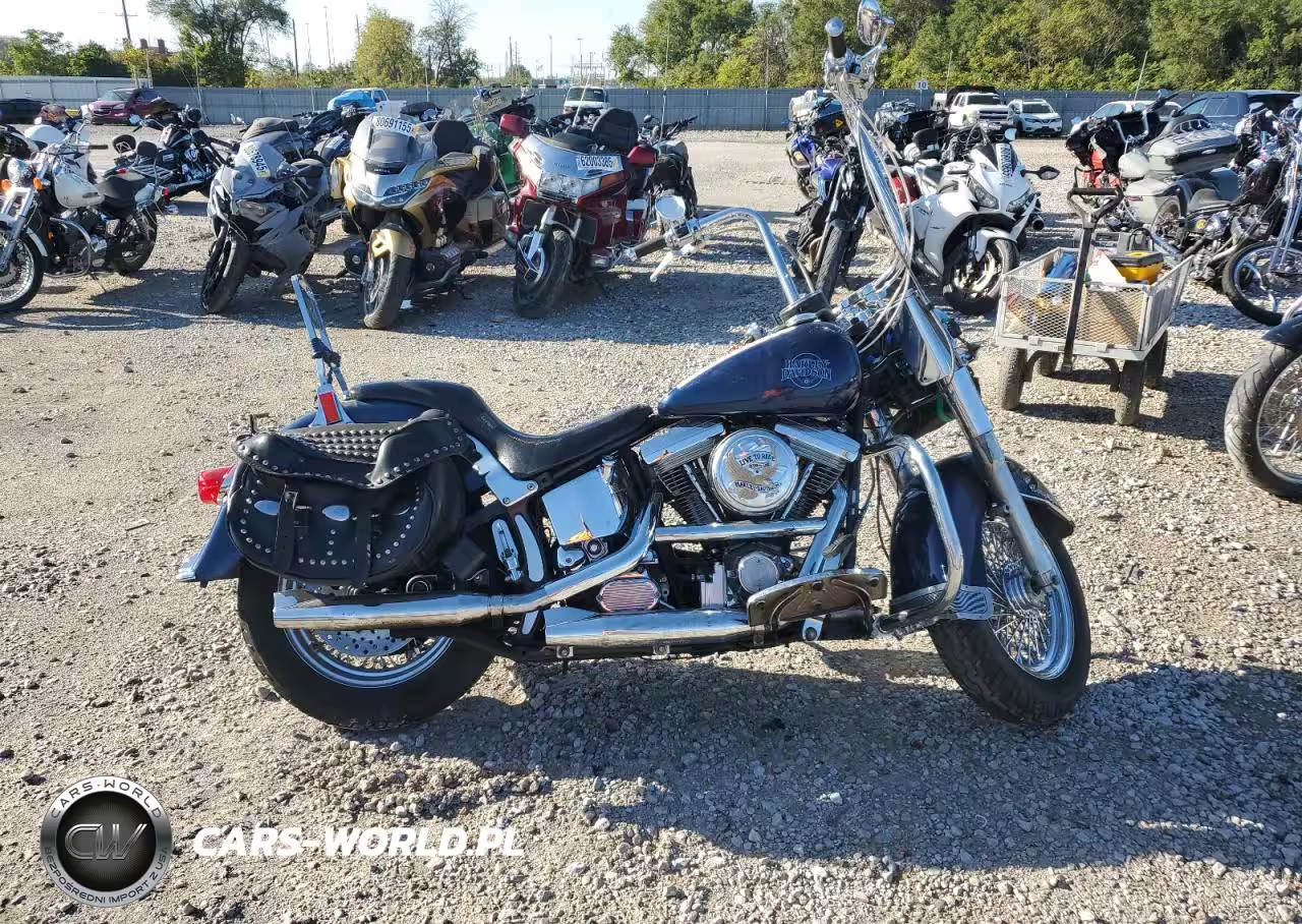 1991 Harley-Davidson Flstc