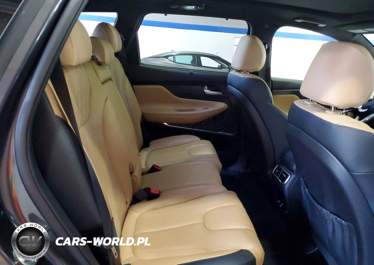 2023 Hyundai Santa Fe Calligraphy VIN:5NMS5DAL7PH557153 - 11
