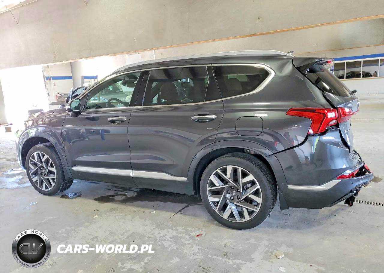 2023 Hyundai Santa Fe Calligraphy VIN:5NMS5DAL7PH557153 - 2