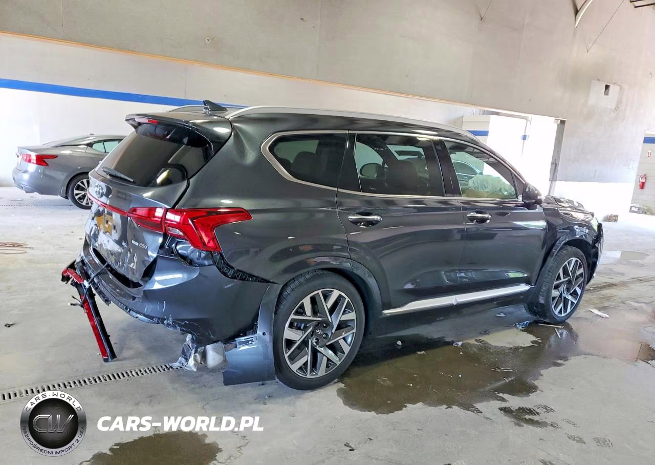 2023 Hyundai Santa Fe Calligraphy VIN:5NMS5DAL7PH557153 - 3