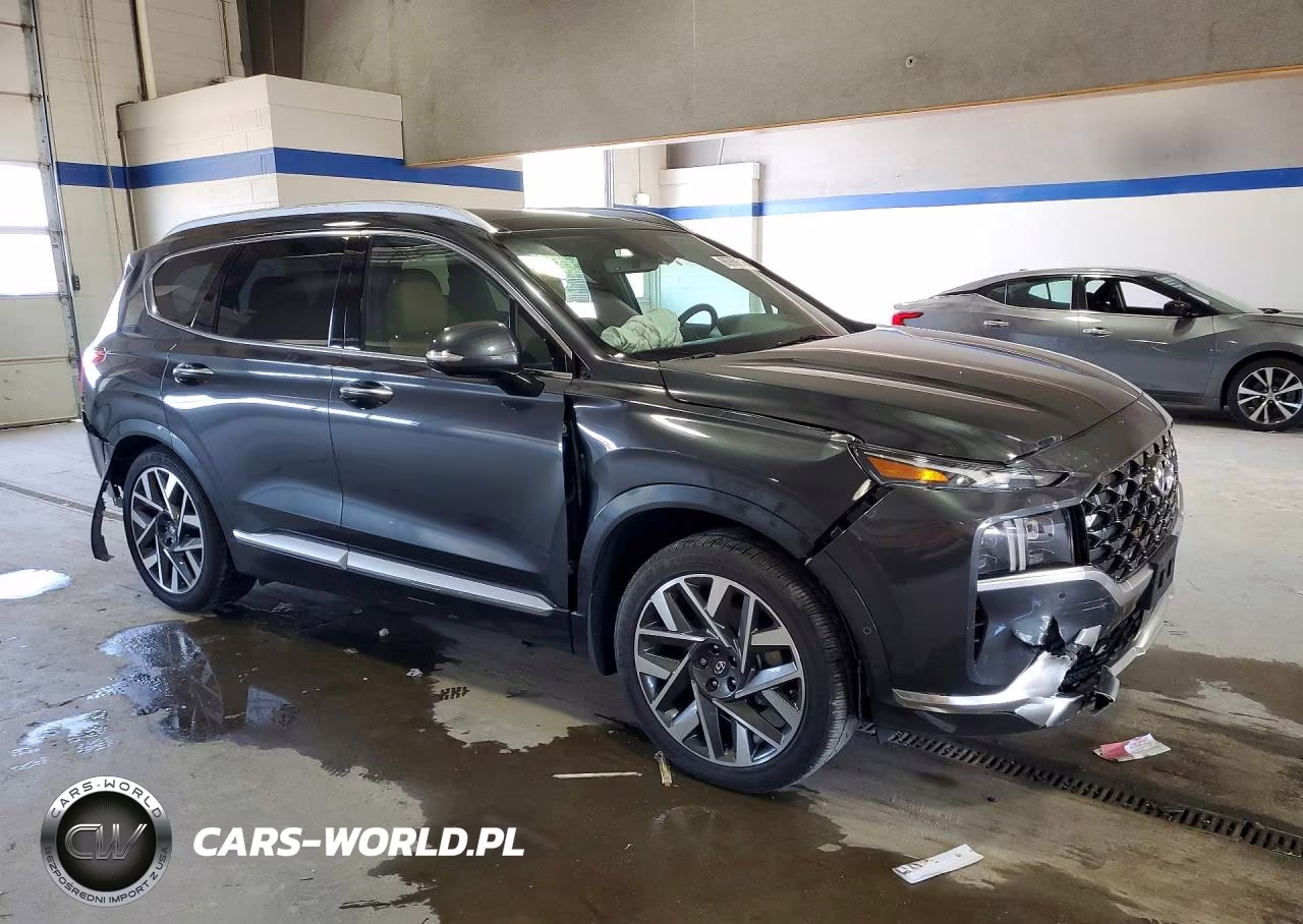 2023 Hyundai Santa Fe Calligraphy VIN:5NMS5DAL7PH557153 - 4