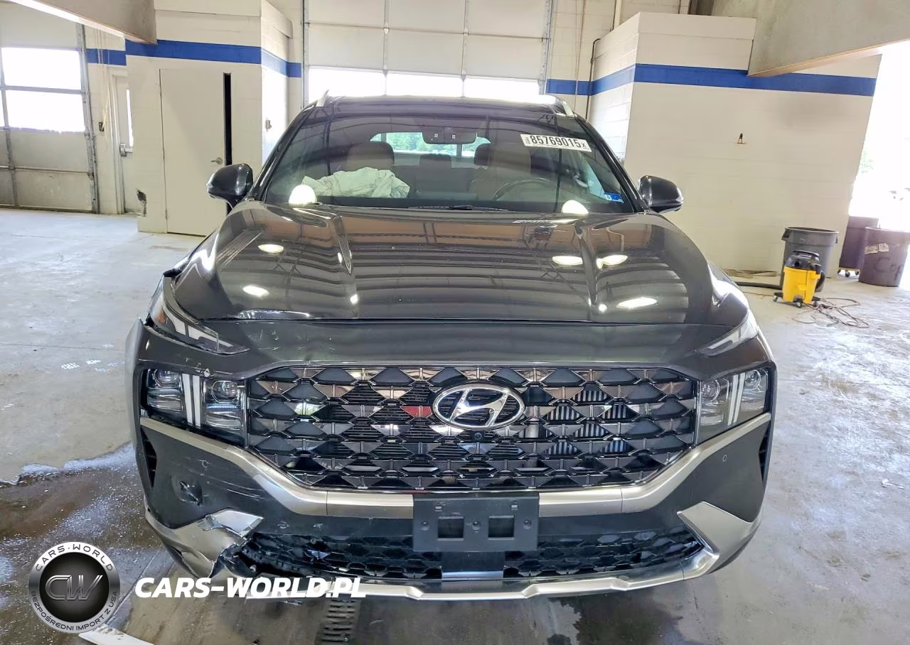 2023 Hyundai Santa Fe Calligraphy VIN:5NMS5DAL7PH557153 - 5