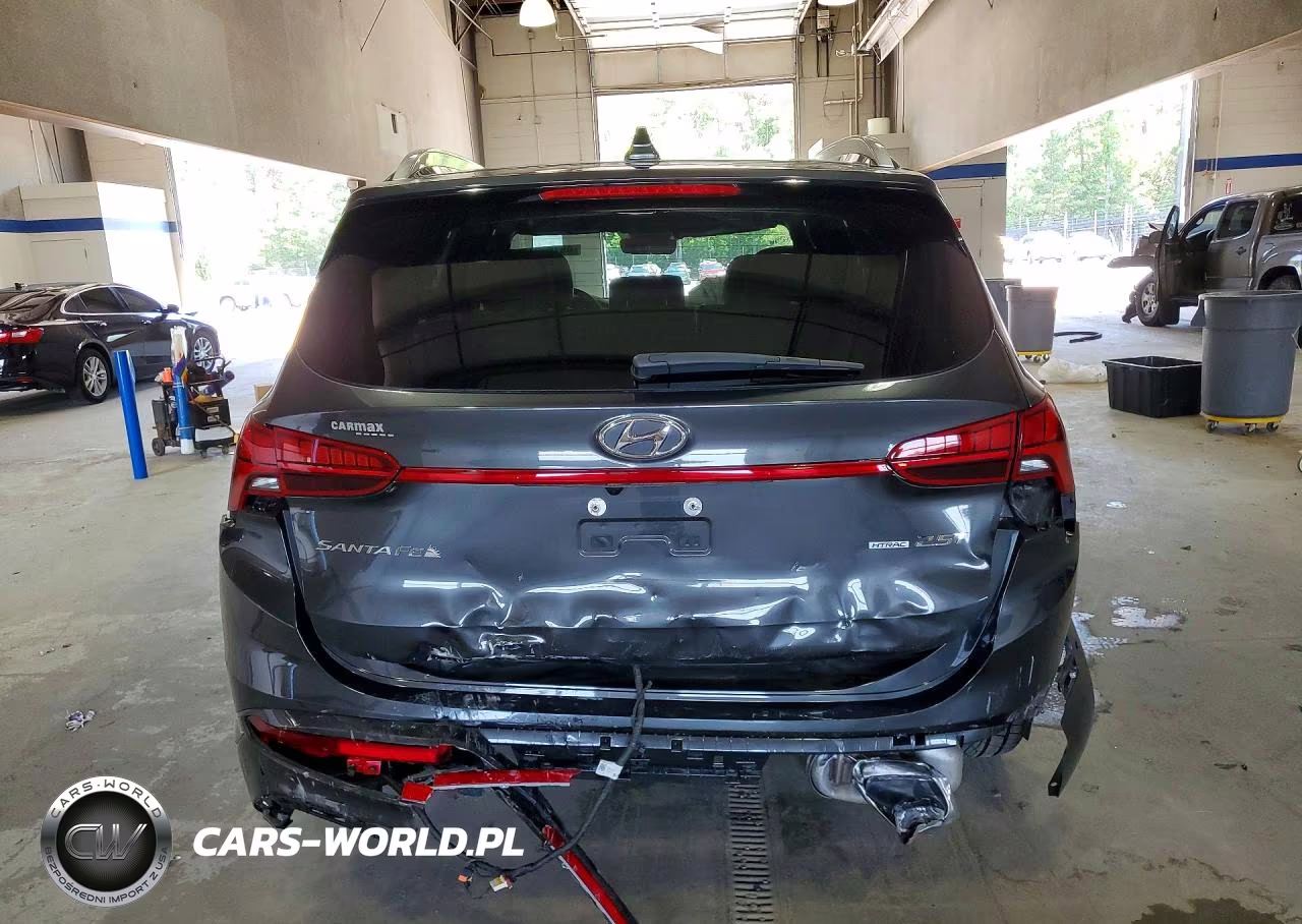 2023 Hyundai Santa Fe Calligraphy VIN:5NMS5DAL7PH557153 - 6