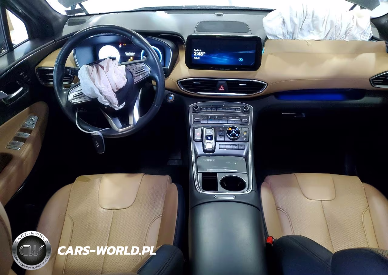 2023 Hyundai Santa Fe Calligraphy VIN:5NMS5DAL7PH557153 - 8