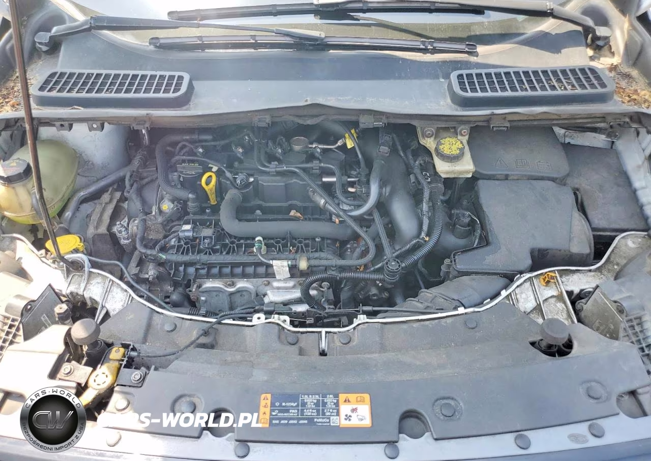 2019 Ford Escape Sel VIN:1FMCU9HD0KUA84891 - 12