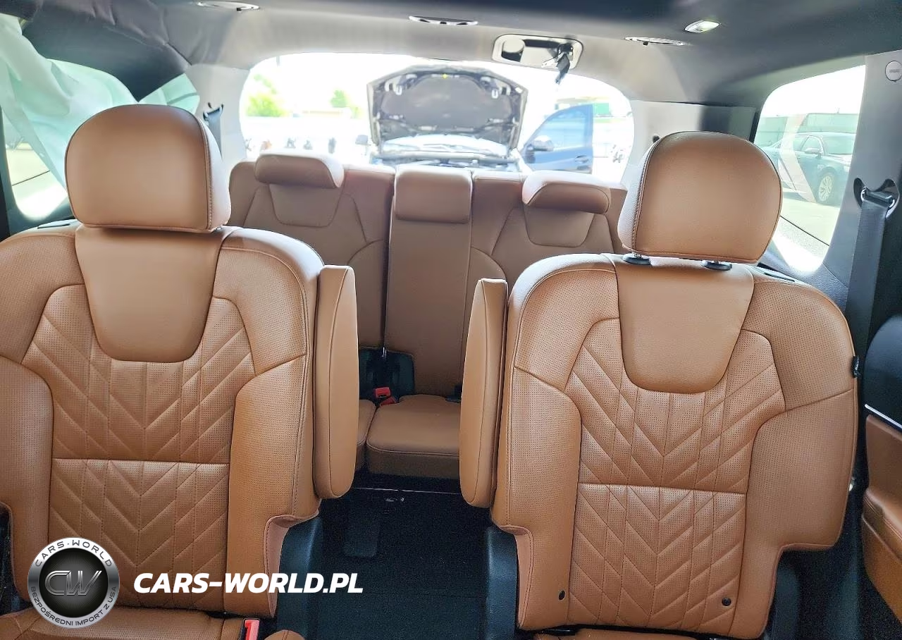 2024 Kia Telluride Sx X-Line VIN:5XYP5DGC7RG432857 - 10