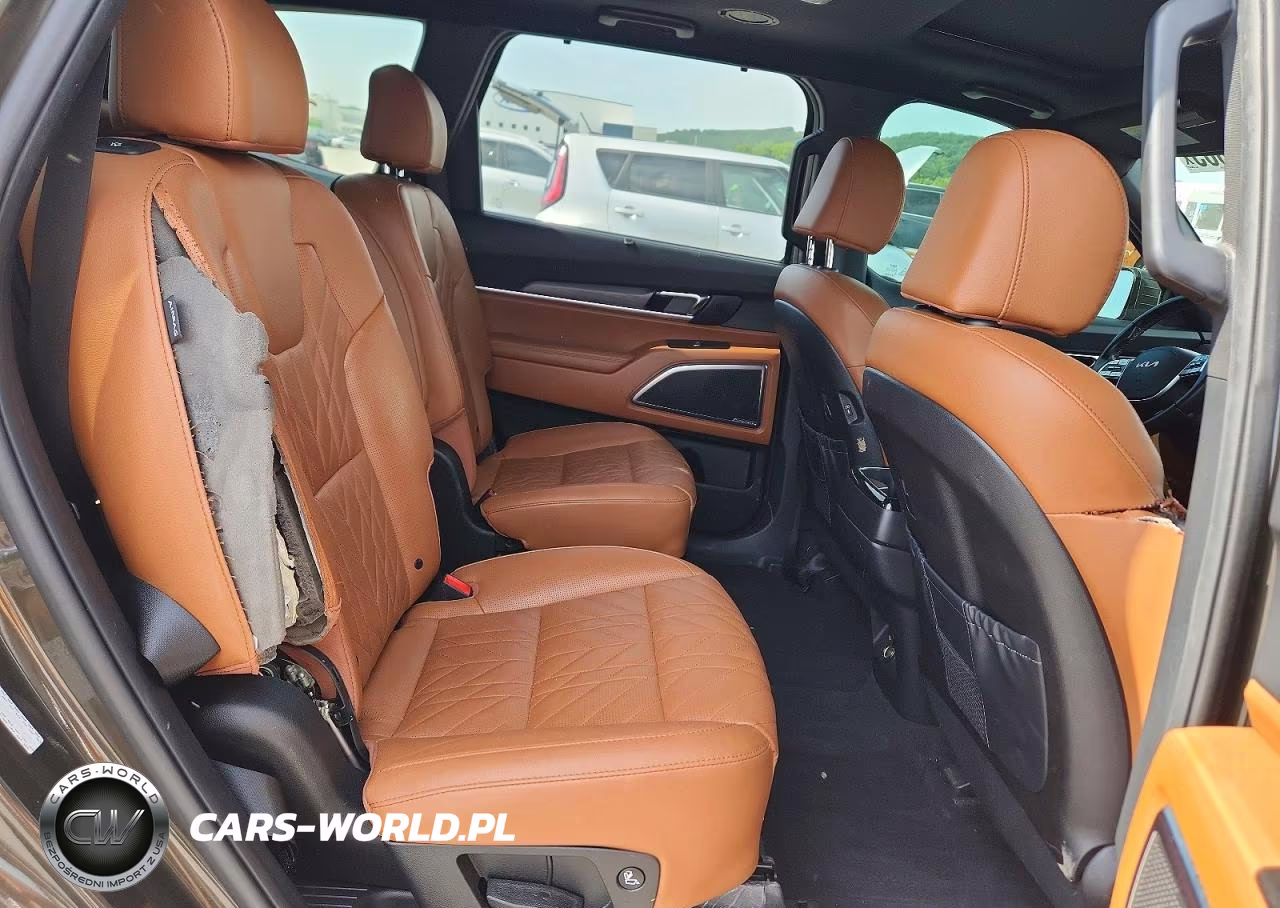 2024 Kia Telluride Sx X-Line VIN:5XYP5DGC7RG432857 - 11