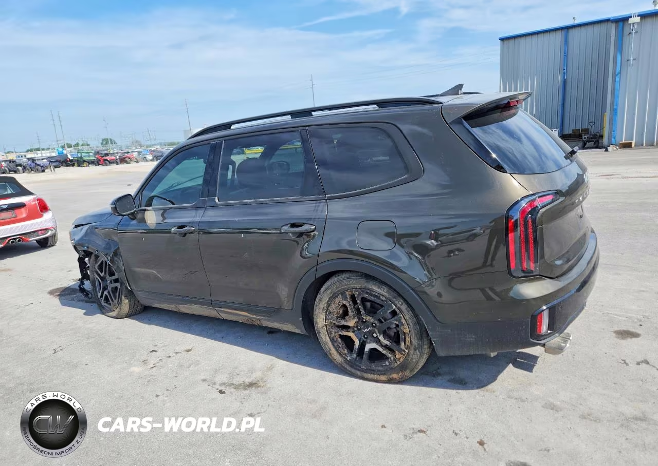 2024 Kia Telluride Sx X-Line VIN:5XYP5DGC7RG432857 - 2