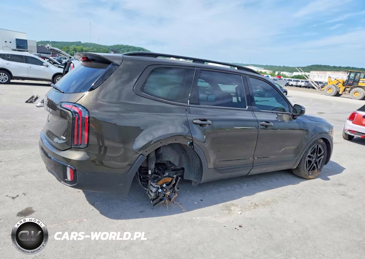 2024 Kia Telluride Sx X-Line VIN:5XYP5DGC7RG432857 - 3