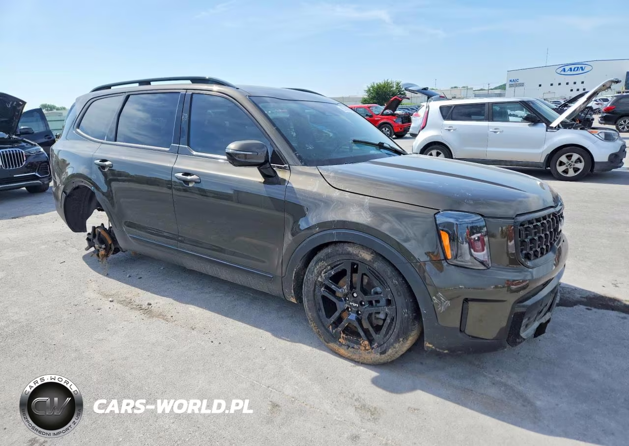 2024 Kia Telluride Sx X-Line VIN:5XYP5DGC7RG432857 - 4