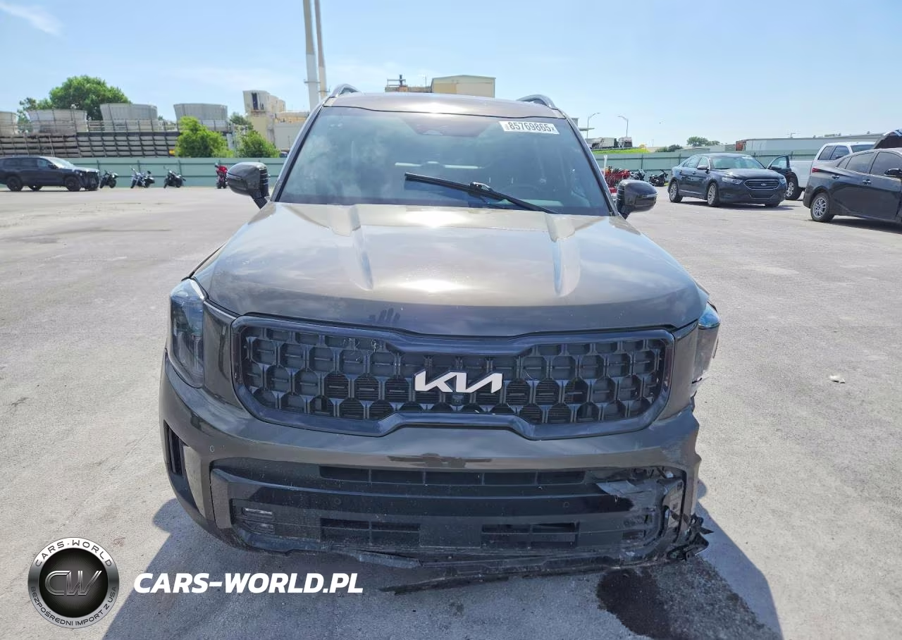 2024 Kia Telluride Sx X-Line VIN:5XYP5DGC7RG432857 - 5