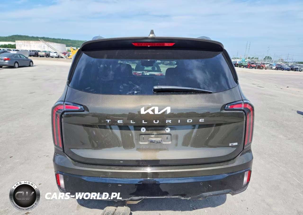 2024 Kia Telluride Sx X-Line VIN:5XYP5DGC7RG432857 - 6
