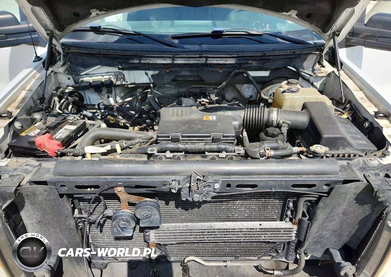 2009 Ford F150 Super Cab VIN:1FTRX14W49FA79755 - 11