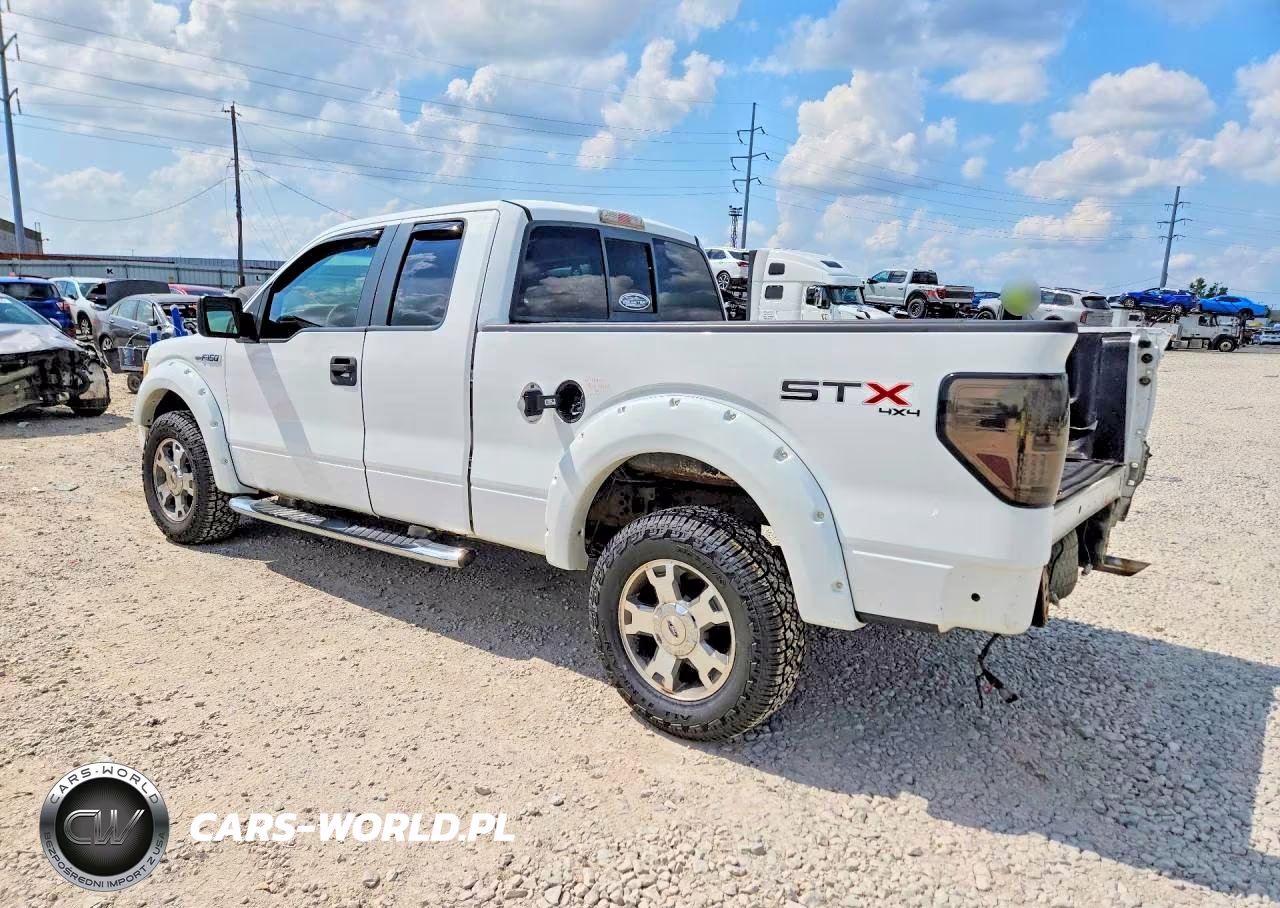 2009 Ford F150 Super Cab VIN:1FTRX14W49FA79755 - 2