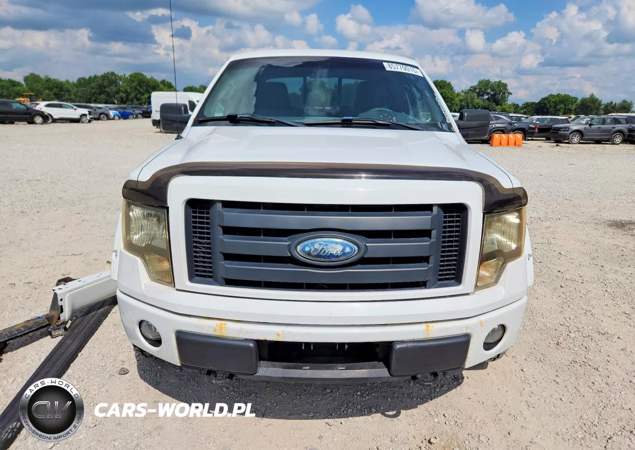 2009 Ford F150 Super Cab VIN:1FTRX14W49FA79755 - 5