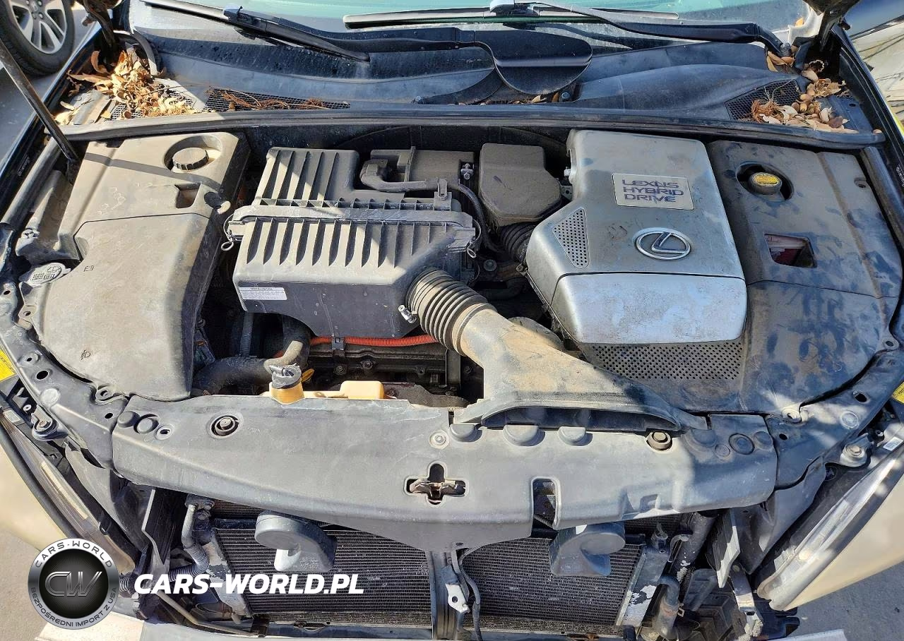 2008 Lexus Rx 400H VIN:JTJHW31U182070219 - 12
