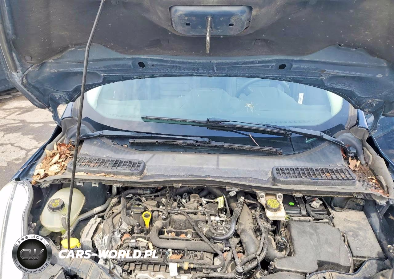 2019 Ford Escape Sel VIN:1FMCU9HD9KUC00945 - 12