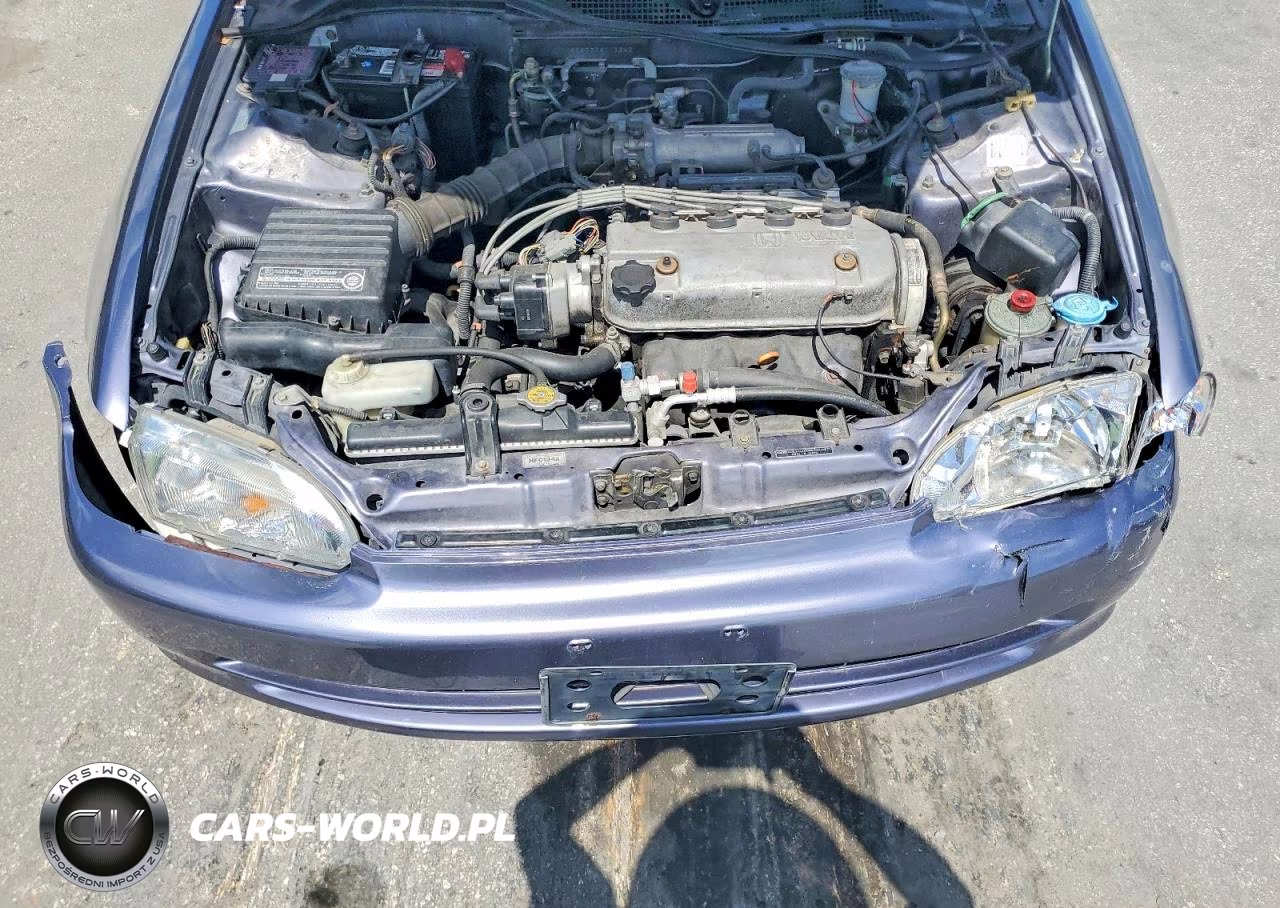 1994 Honda Civic Lx VIN:JHMEG8653RS012646 - 11